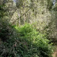 راهنمایی