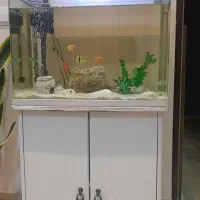 آکواریوم شیشه خم به همراه میز