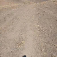 فیش-زمین-نیروی-انتظامی