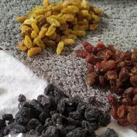 مویز کشمش سبز و پلوئی محصول کاشمر