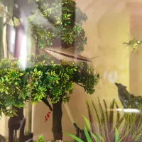 دکوراسیون داخل اکواریوم|ماهی|رشت, حاجی آباد|دیوار