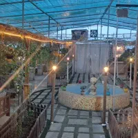 شاگرد.قلیانچی و سالن دار