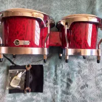 بانگو یا بنگو بینگو ال پی نو و۲ عدد تم بورین