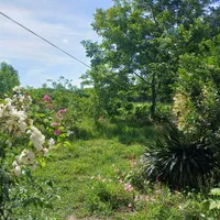 اجاره ویلاباغ دوخواب حیاط بزرگ دربست باامکانات|اجارهٔ کوتاهمدت ویلا و باغ|ماسال, |دیوار