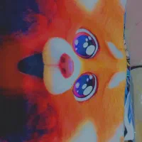 جلدا ترند بازار قیمت مناسب|رختخواب، بالش، پتو|زابل, |دیوار