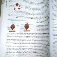 کتاب تست جامع زیست شناسی با پاسخنامه تشریحی|کتاب و مجله آموزشی|شیراز, شهرک برف فروشان|دیوار