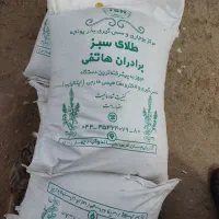 فروش 250 کیلو بذر ماشک و نخود علوفه ای