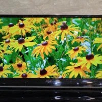 تلویزیون ۴۰ اینچ LED شارپ 40LE3550X|تلویزیون و پروژکتور|ساوه, |دیوار