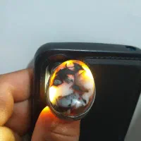 دوتا انگشتر مصور هستن وقدیمی|کلکسیون اشیاء عتیقه|چمران, |دیوار