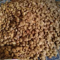 هسته زردآلو شیرین|خوردنی و آشامیدنی|تهران, امام زاده عبدالله|دیوار