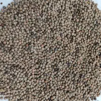 گا‌و‌د‌انه‌