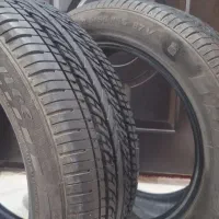 لاستیک دناپلاس