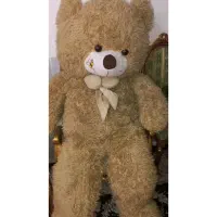 خرس بزرگ دو متر