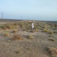 زمین-کشاورزی-گراغه