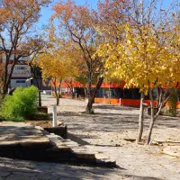 استخدام مدیر رستوران حرفه ای