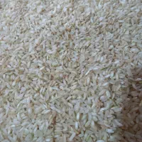 برنج چمپا خوش عطرو پخت