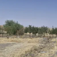 فروش باغ|فروش زمین و ملک کلنگی|قره پشتلو, |دیوار