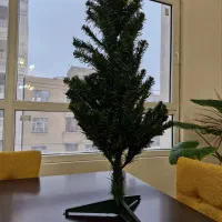 درخچه تزیینی مناسب برای کریسمس