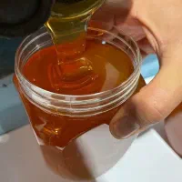 عسل درمانی و طبیعی کوههای مریوان و اورامان