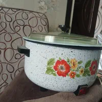 ارام پز برقی