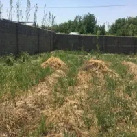 زمین چهار دیواری داخل همدان
