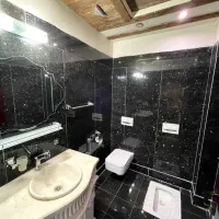 پرو نانو اورجینال اروپا عایق نم و رطوبت مواد درجه|خدمات پیشه و مهارت|تهران, آسمان|دیوار