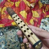 پوست نی انبان و دسته|سازهای بادی|آبادان, |دیوار