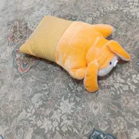 لوازم سیسمونی|اسباب و اثاث بچه|جاجرم, |دیوار