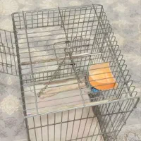 قفس عروس محکم یک عدد ارزون|لوازم جانبی حیوانات|نسیمشهر, |دیوار