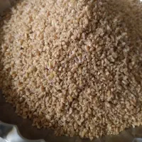 بلغور
