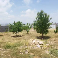 فروش-یا-معاوضه-باغ-شهری-سیخ-دارنگون-خان-خمیس