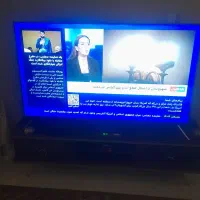 تلوزیون