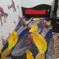 کمدتخت نوجوان|اسباب و اثاث بچه|مشهد, مصلی (کارمندان اول)|دیوار