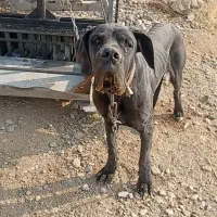 معاوضه فروشی نیست