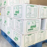 فروش عمده سبزیجات و محصولات آماده طبخ / پیدن