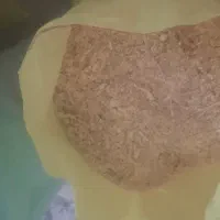 پوشال چوب روسی خاک اره چوب روسی