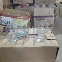 ماهی عید تکی و عمده