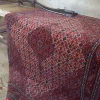 فروش وپرداخت انواع فرش دستبافت|فرش|اردبیل, |دیوار