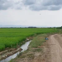 2500مترشالیزار آب بندانی حوالی شهر فرح آباد