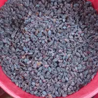 کشمش درجه ۱