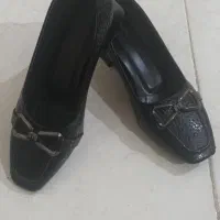 کفش|کیف، کفش، کمربند|بوشهر, |دیوار