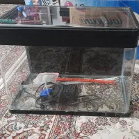آکواریوم شرکتی با وسایل|ماهی|اصفهان, هفتون|دیوار