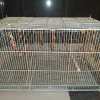 قفس پرون بزرگ