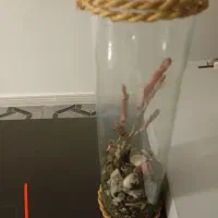 دکوری|مجسمه، تندیس، ماکت|زاهدان, |دیوار