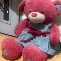 خرس صورتی شاسخین خارجی