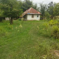 1737متر خانه محوطه کامل مسکونی گیلان فومن