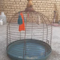 قفس گرد برای پرندگان زینتی|لوازم جانبی حیوانات|زنجان, |دیوار