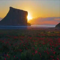 تور و طبیعت . سفر . گردش