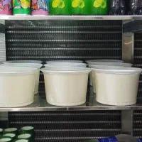 ماست و دوغ محلی