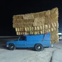 فروش پرس گندم وپرس شالی وذرت علوفه ای  کاه نرمه